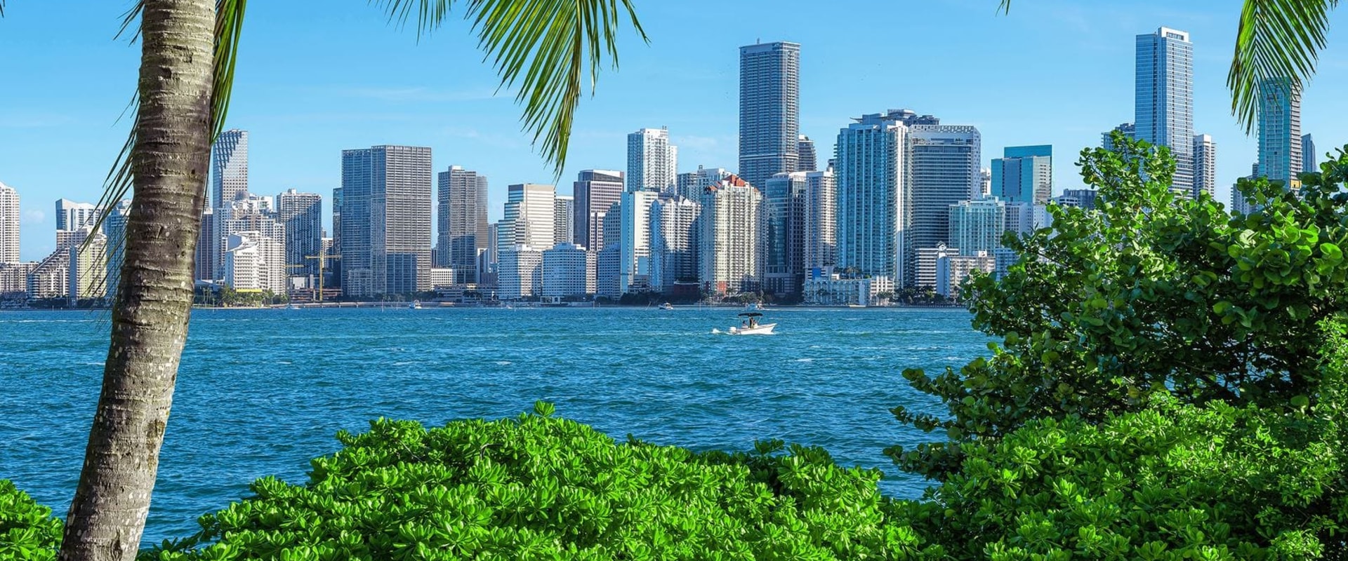 Long-term Investment Strategies in Florida
